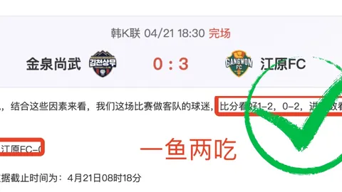 揭秘：曼联心有不舍，B费转会传闻背后，C罗倾情支招助力未来！
